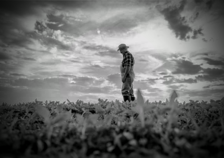 Farmer standing in a field at dusk — Perry Harrell Land Institute